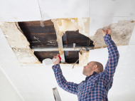 stock-photo-90521125-man-cleaning-mold-on-ceiling